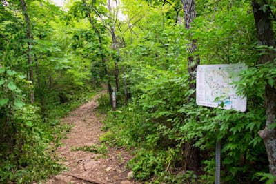 Hike the Violet and Red Loops at Shawnee Mission Park