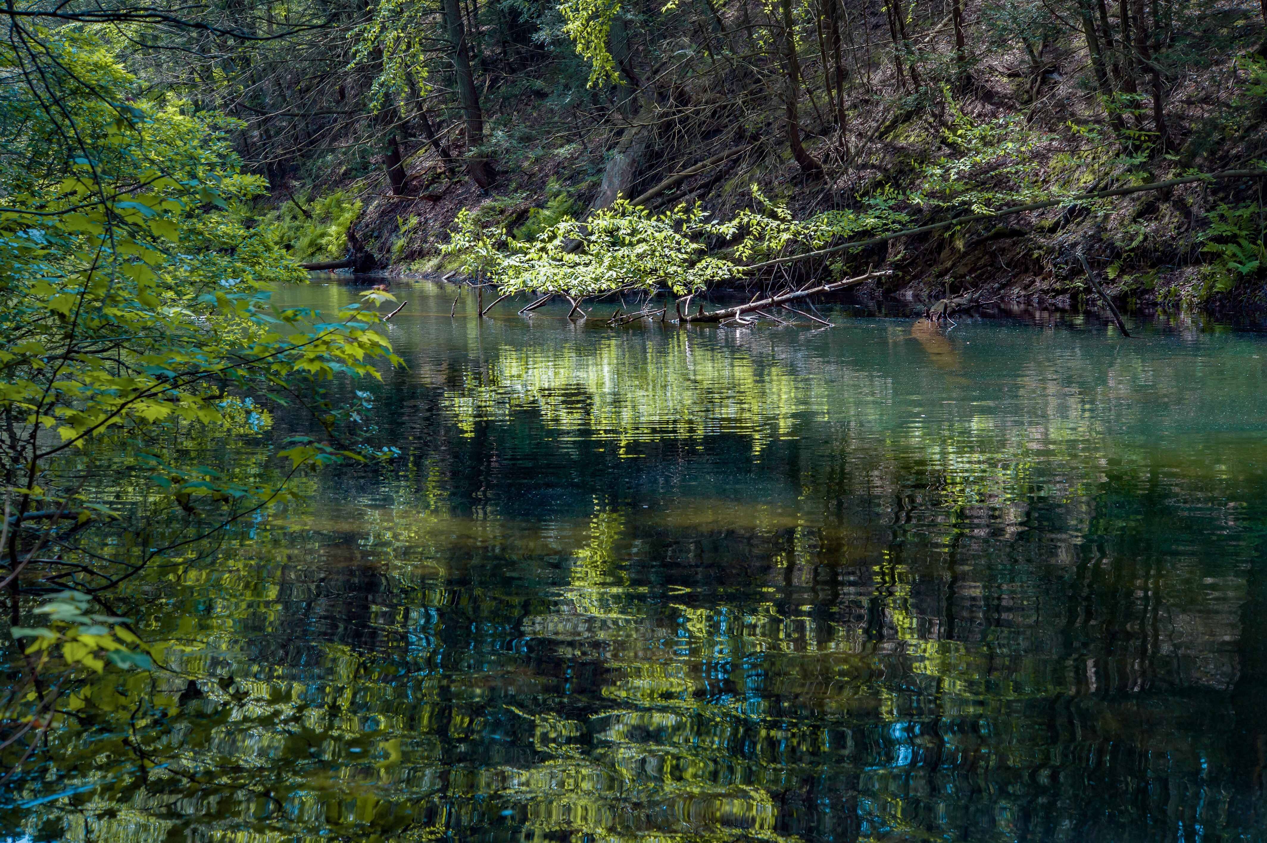 Christman and Falls Trail Loop
