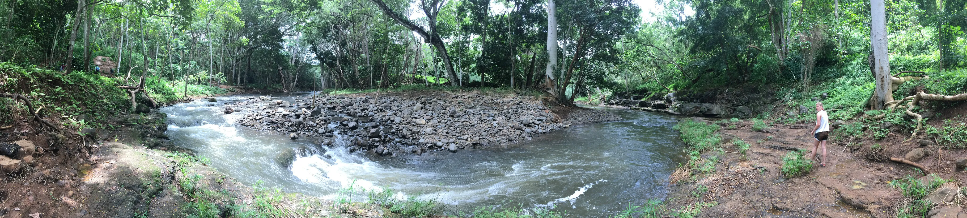 Hike to Ho'opi'i Falls 