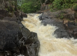 Explore Dave's Falls