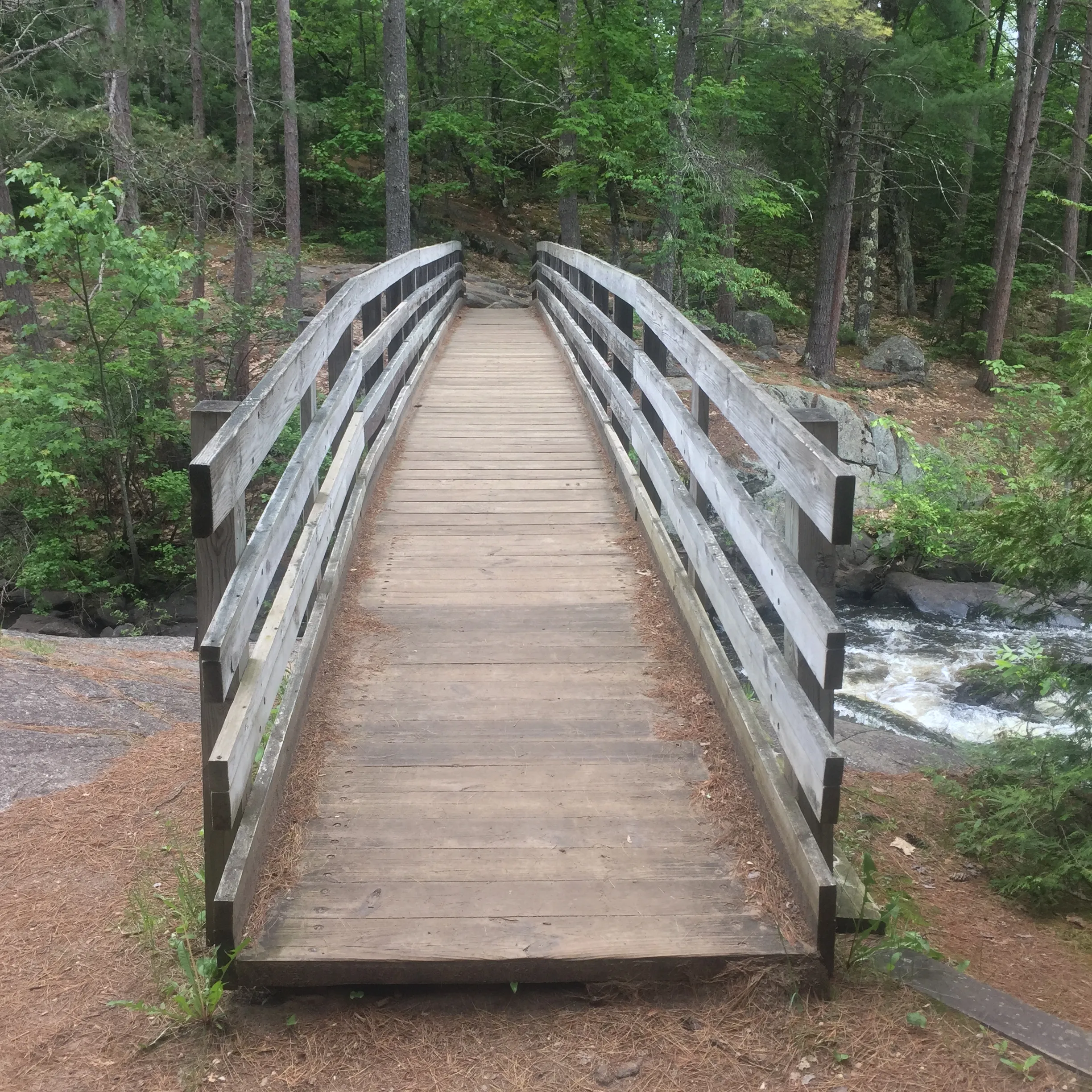 Explore Dave's Falls