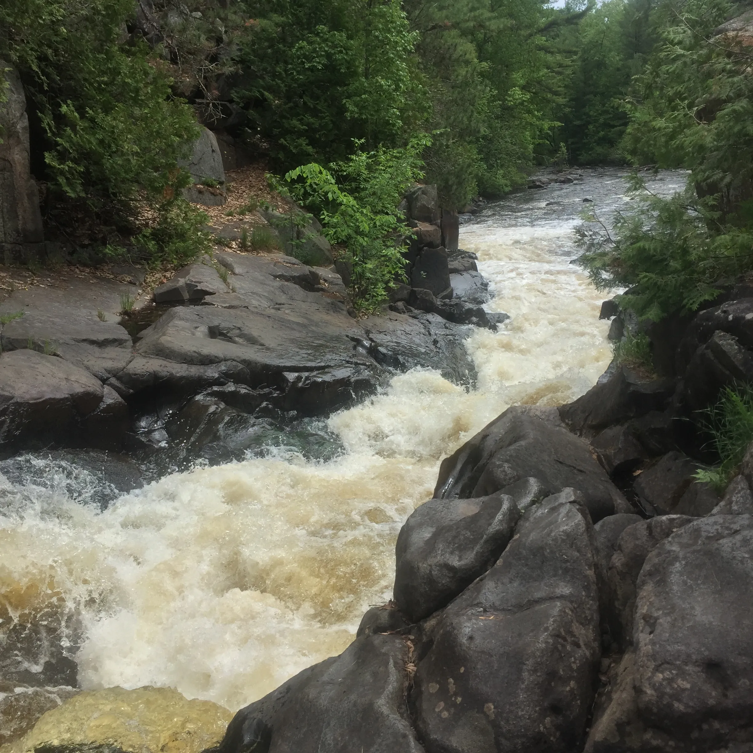 Explore Dave's Falls