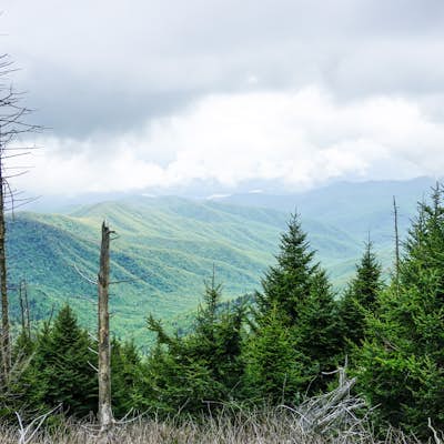 Hike Clingman's Dome Trail to the Observation Tower