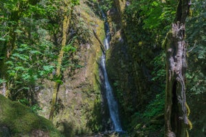 Hike to Soda Creek Falls