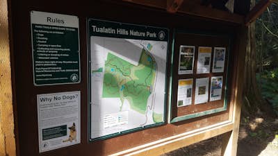 Hike through Tualatin Hills Nature Park