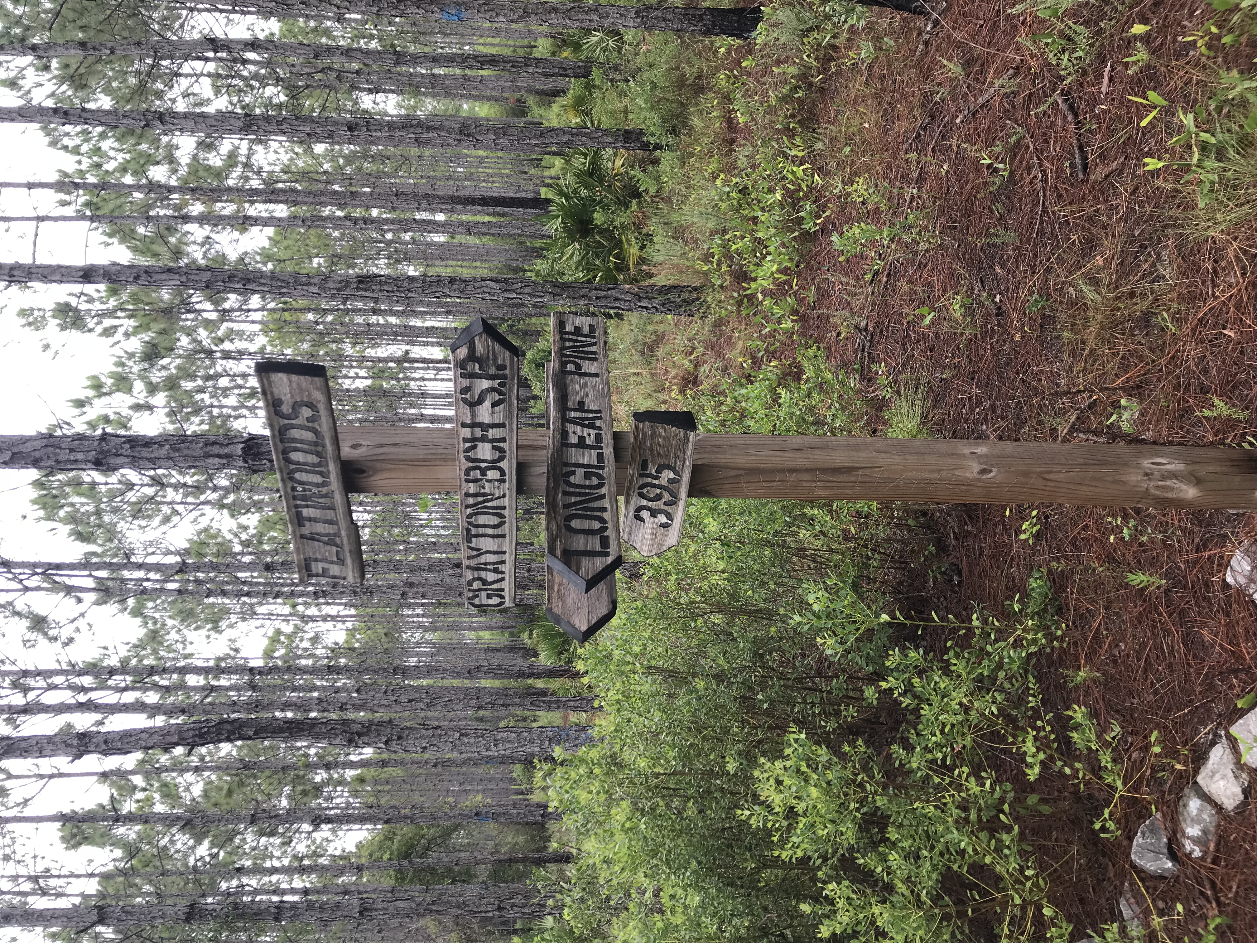 Hike the Flatwoods Trail