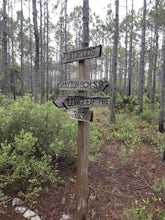 Hike the Flatwoods Trail