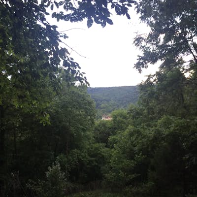 Hike Overlook Trail 