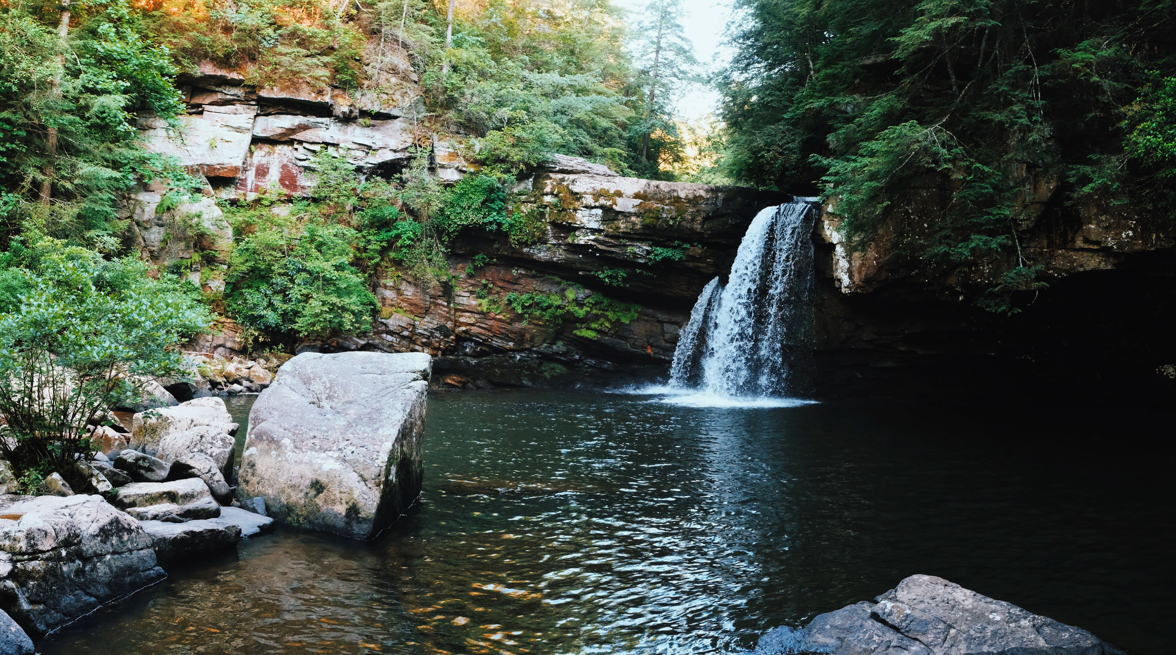 Savage Falls Trail