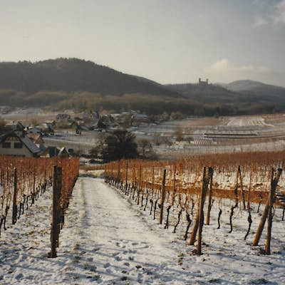  Drive the Route des Vins d'Alsace. Alsace Wine Road