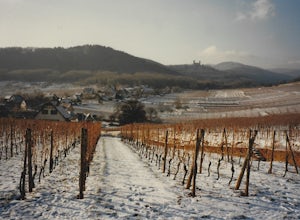  Drive the Route des Vins d'Alsace. Alsace Wine Road