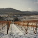  Drive the Route des Vins d'Alsace. Alsace Wine Road