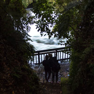 Hike the Okere Falls Track