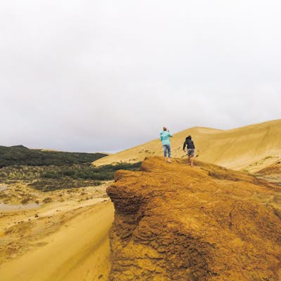 Explore the Giant Te Paki Sand Dunes