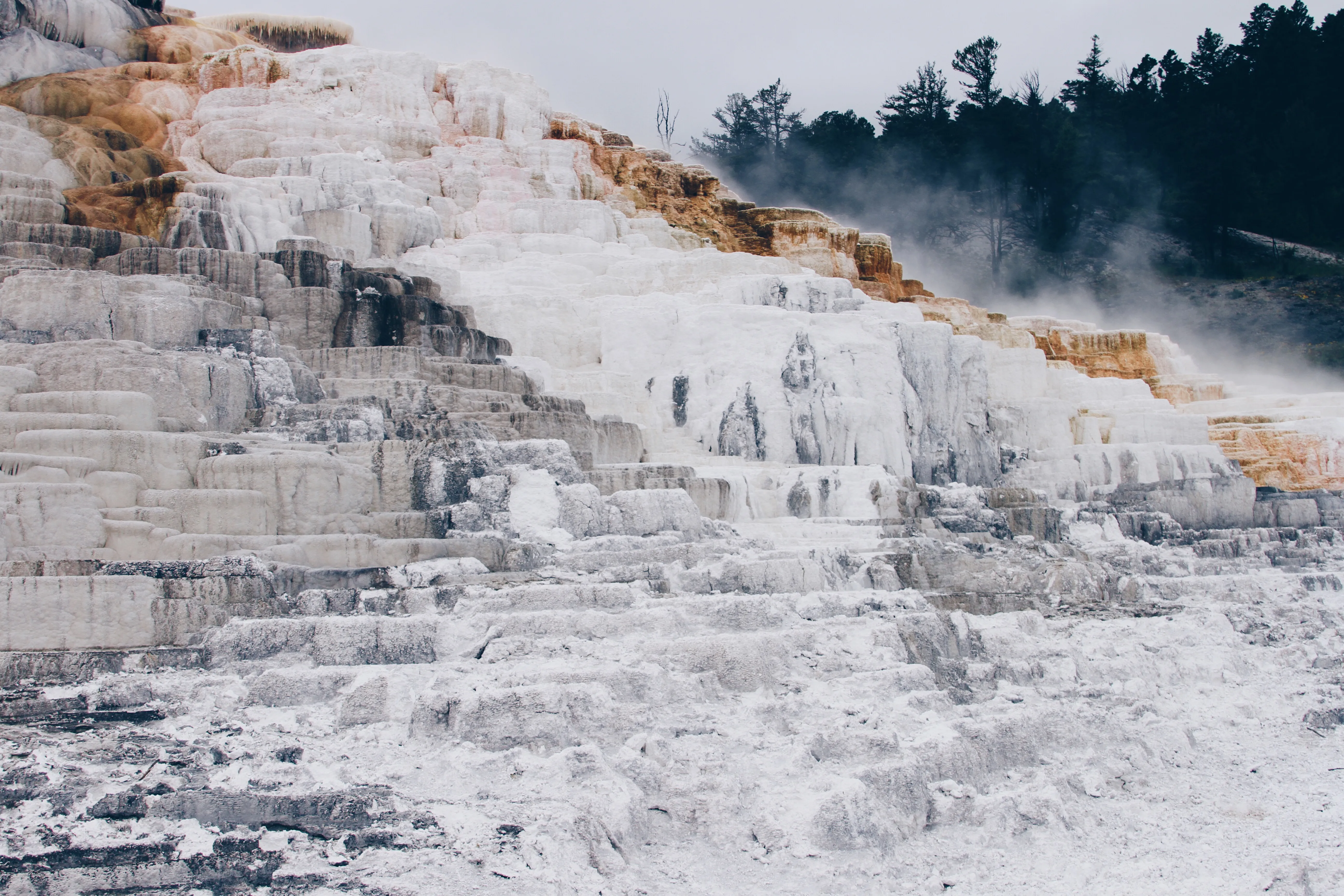 Mammoth Hot Springs