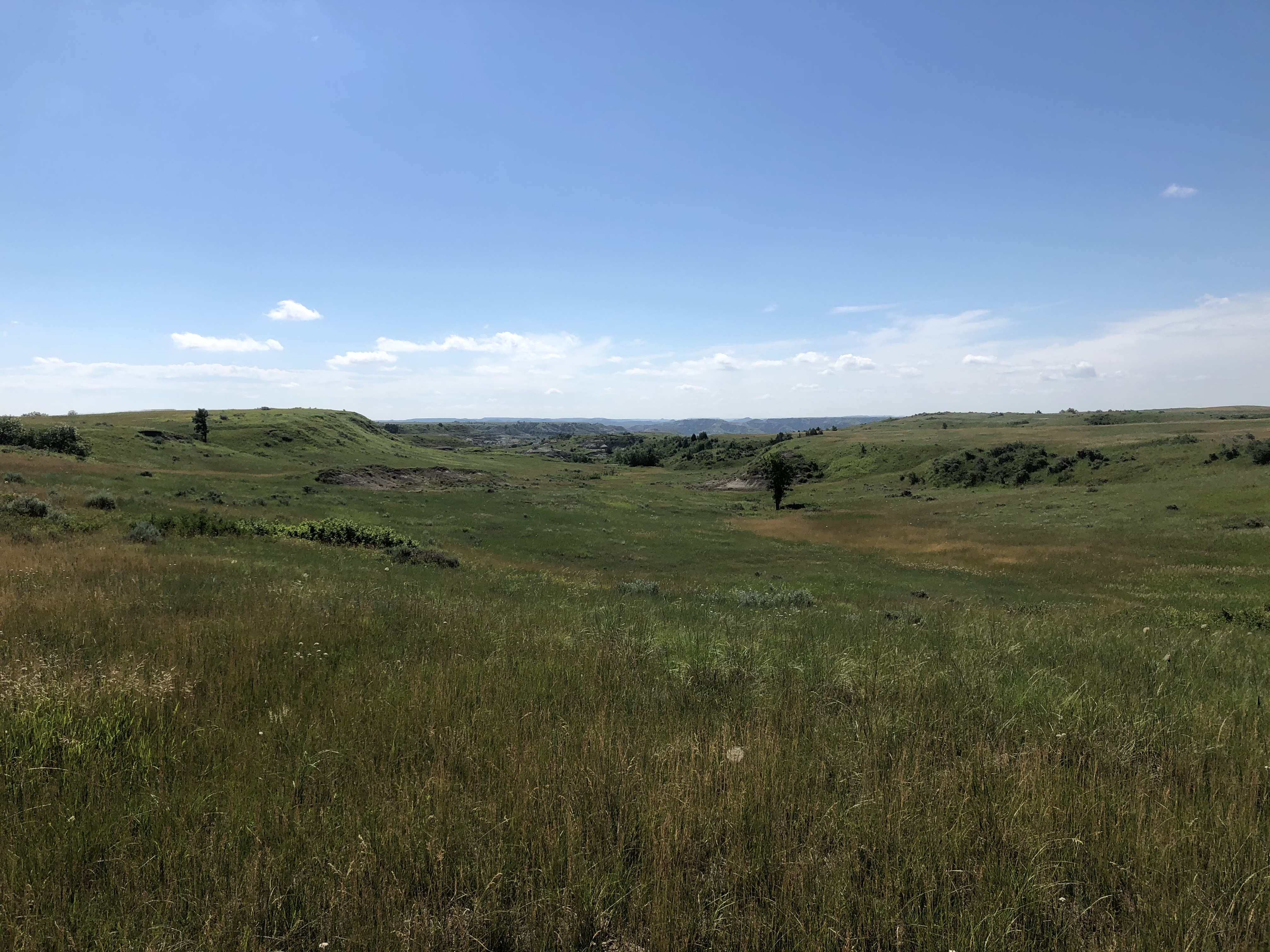 Petrified Forest Loop