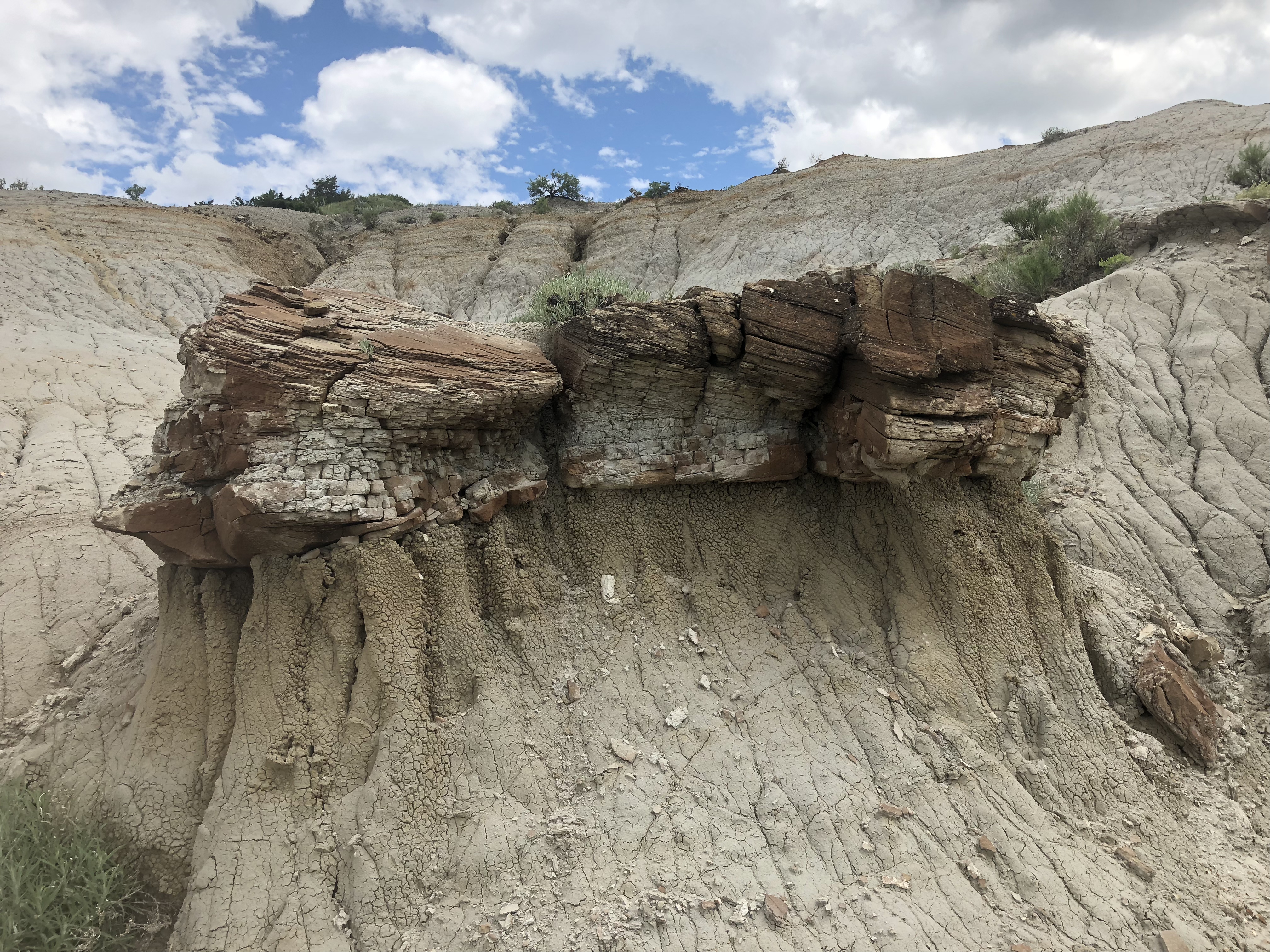 Petrified Forest Loop