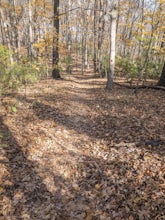 Mossy Ridge Trail