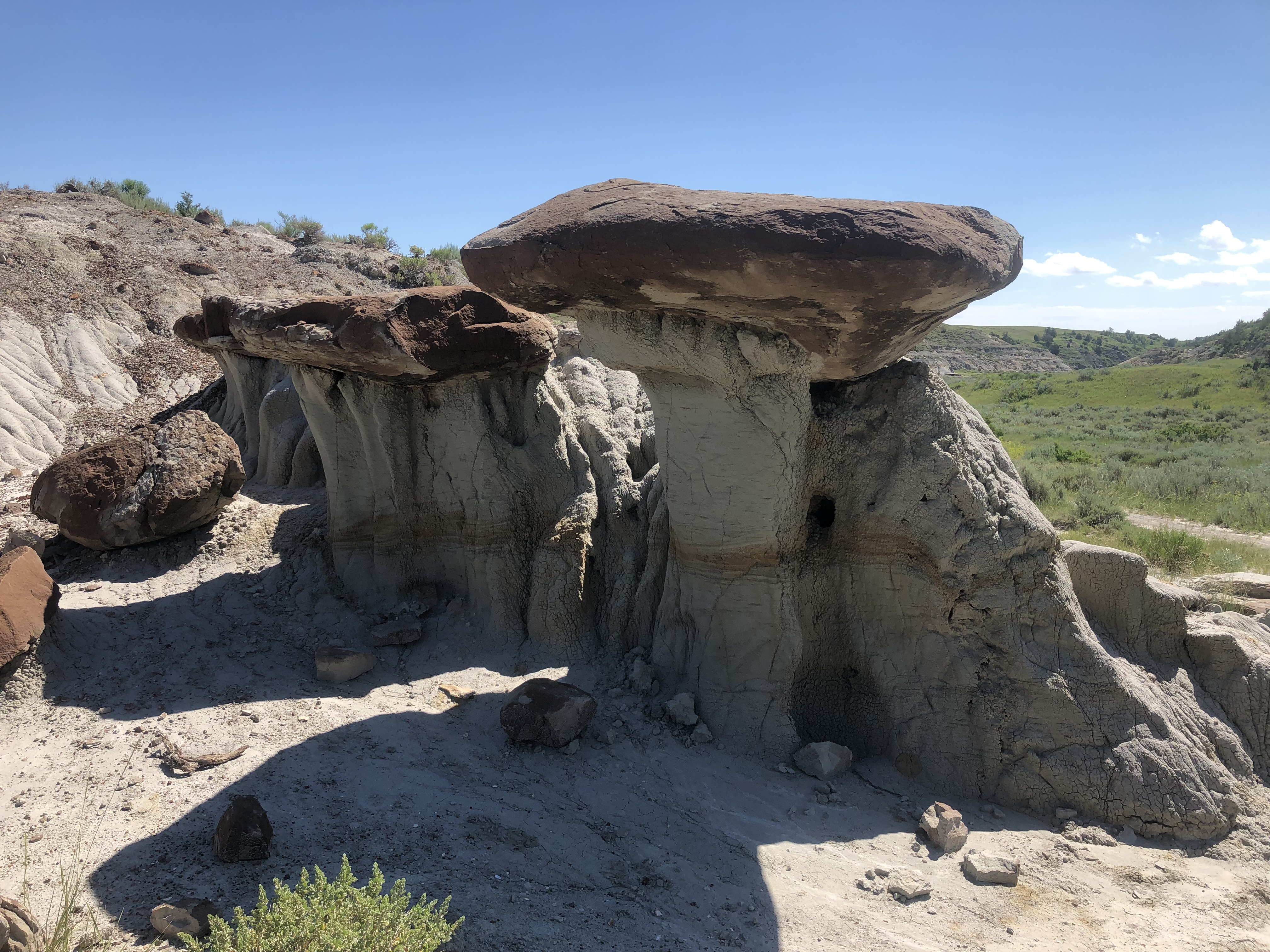 Petrified Forest Loop