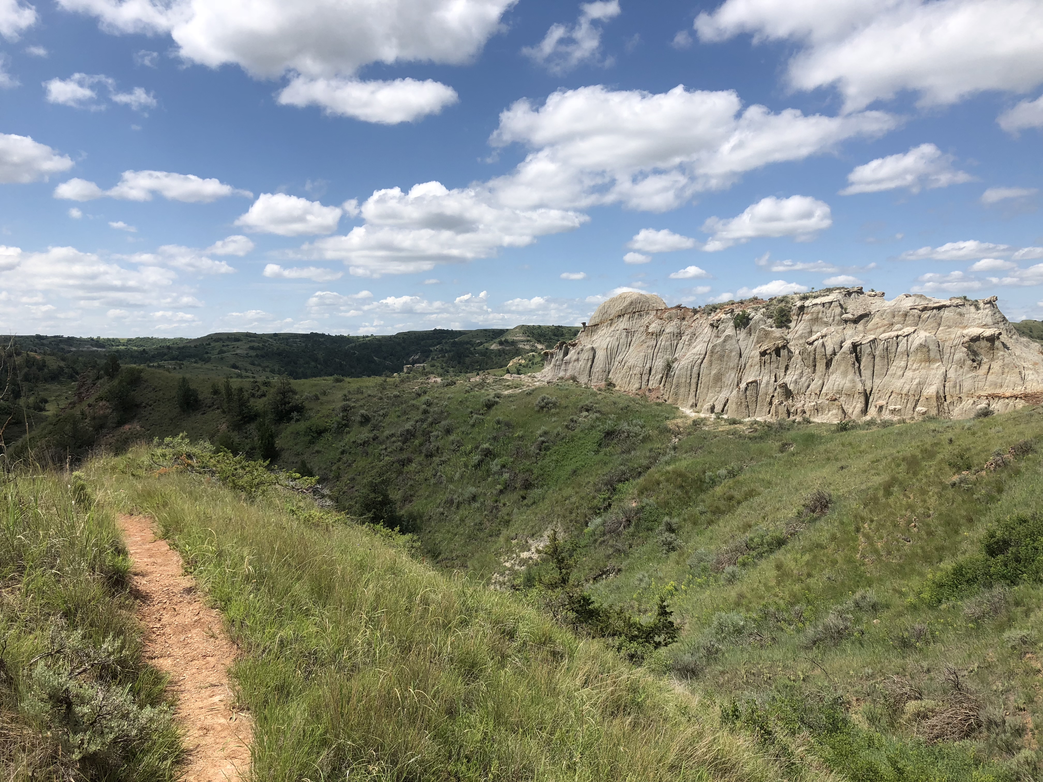 Petrified Forest Loop