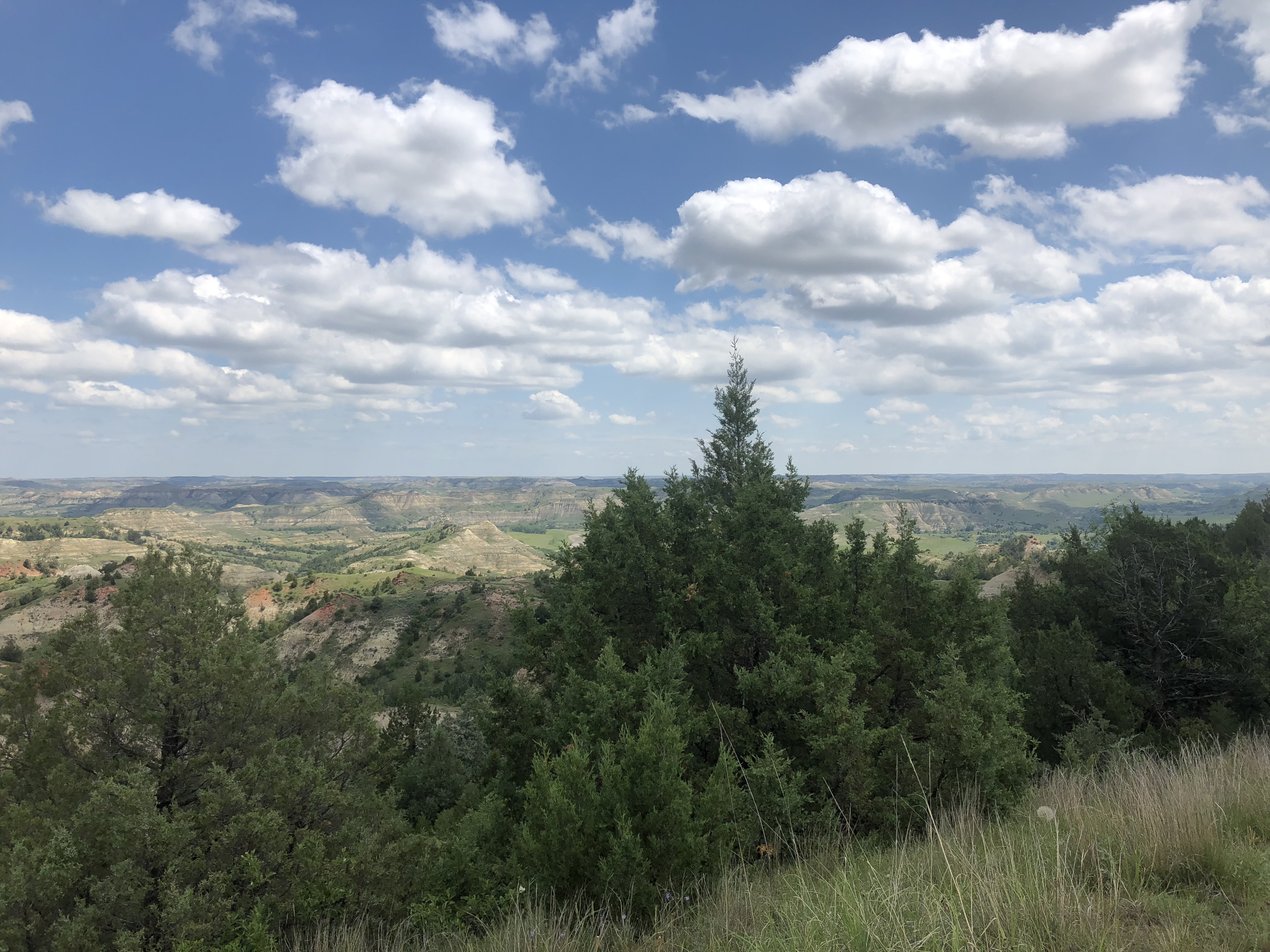 Petrified Forest Loop