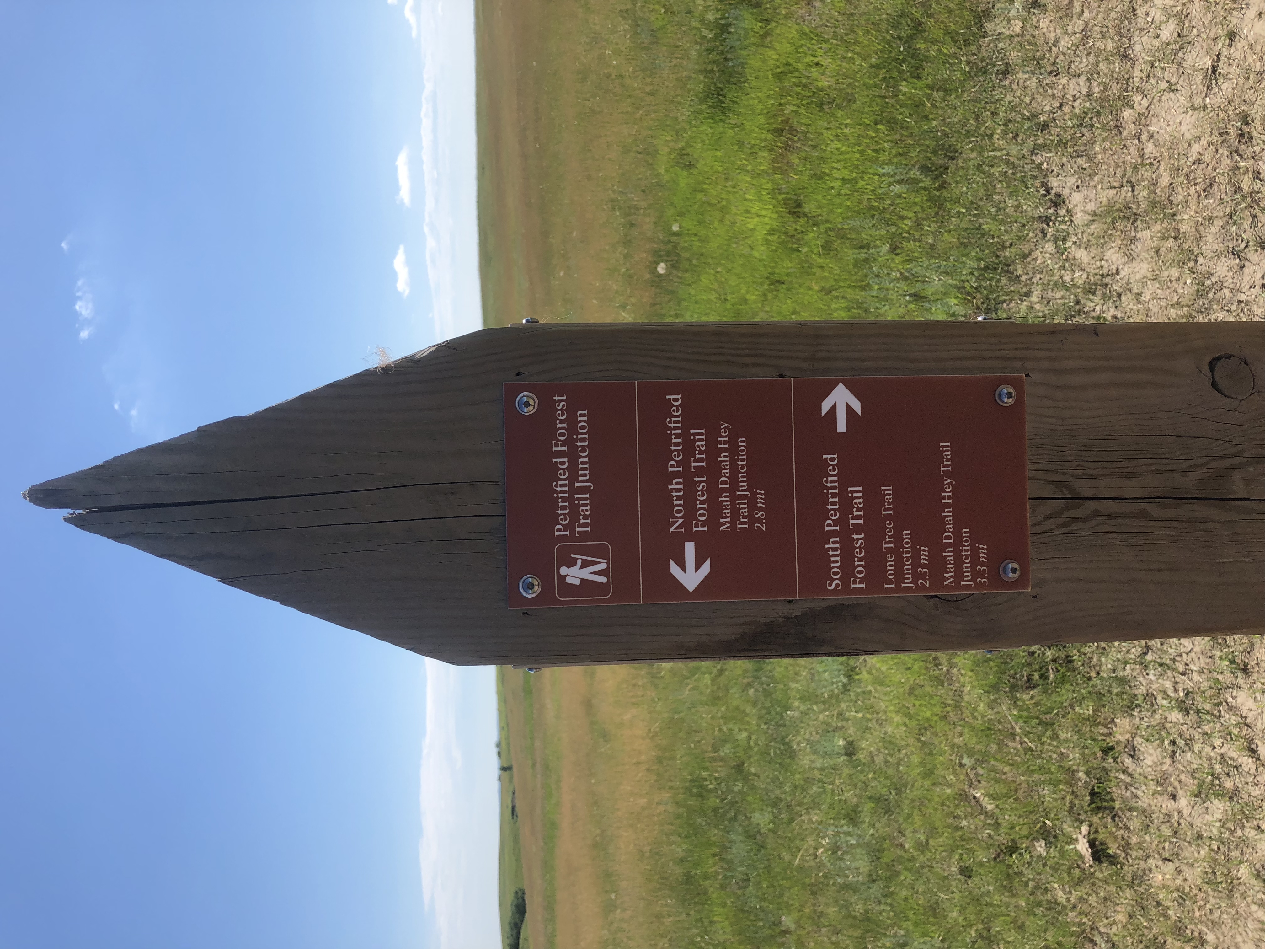 Petrified Forest Loop
