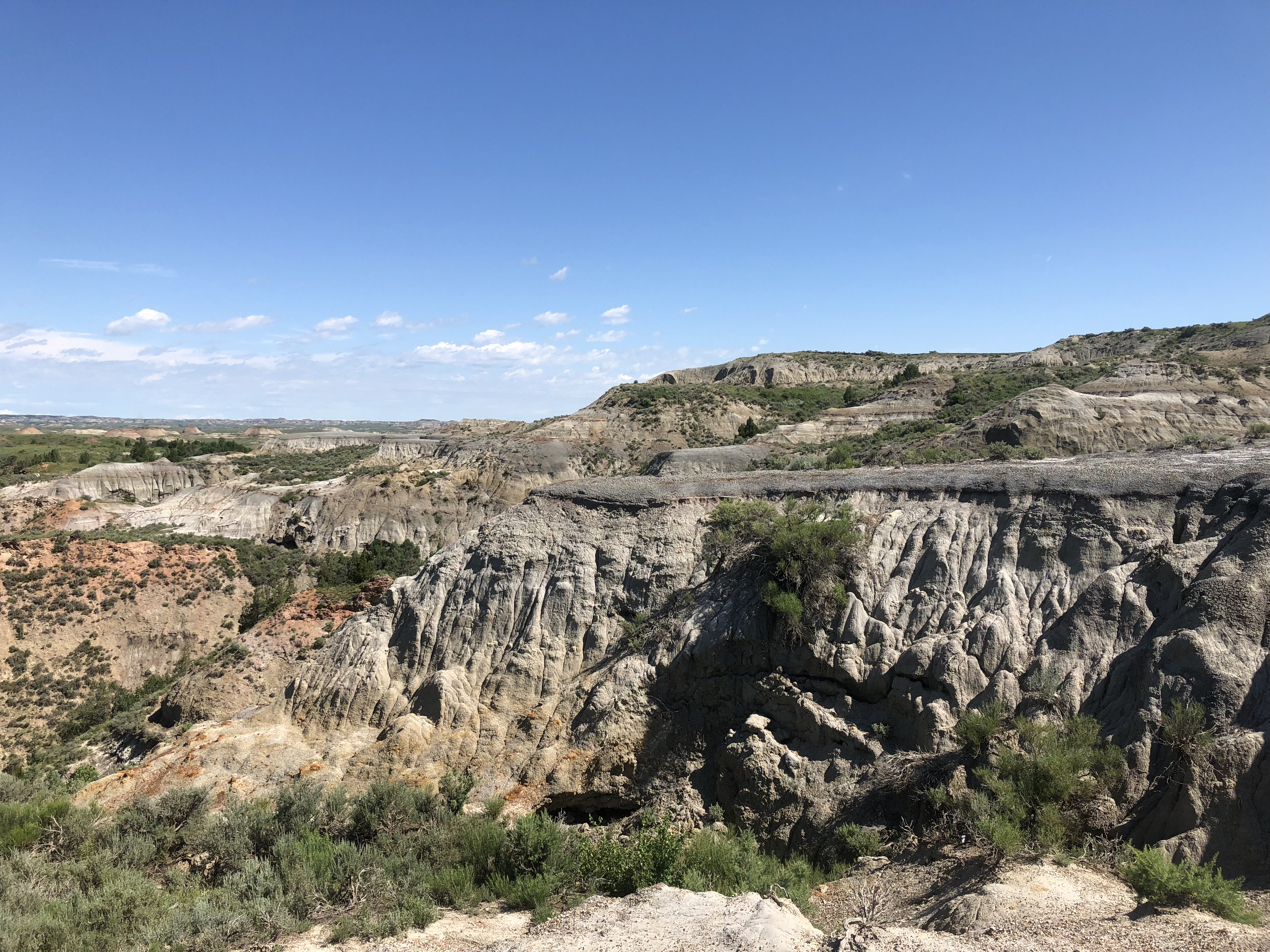 Petrified Forest Loop