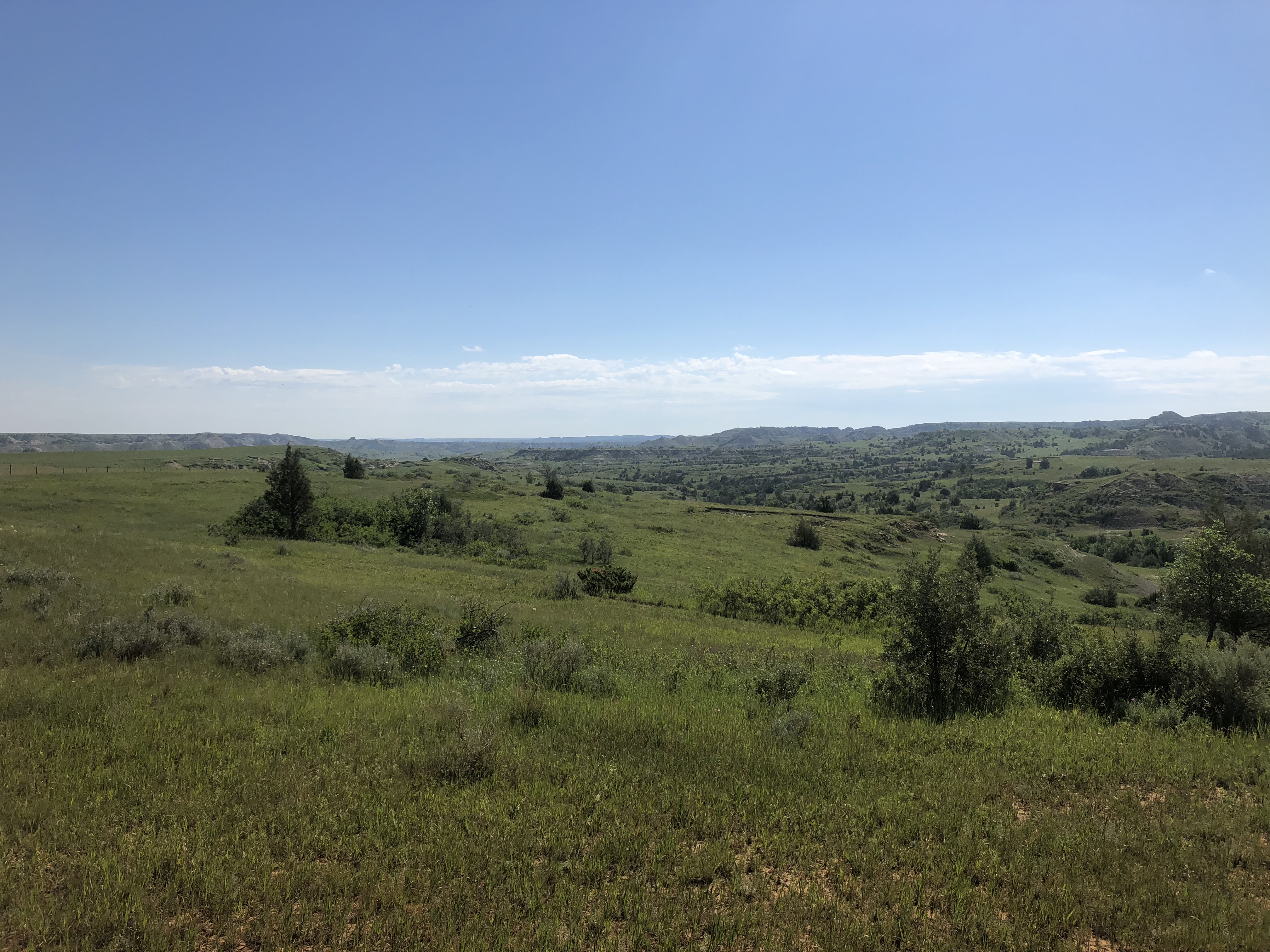 Petrified Forest Loop