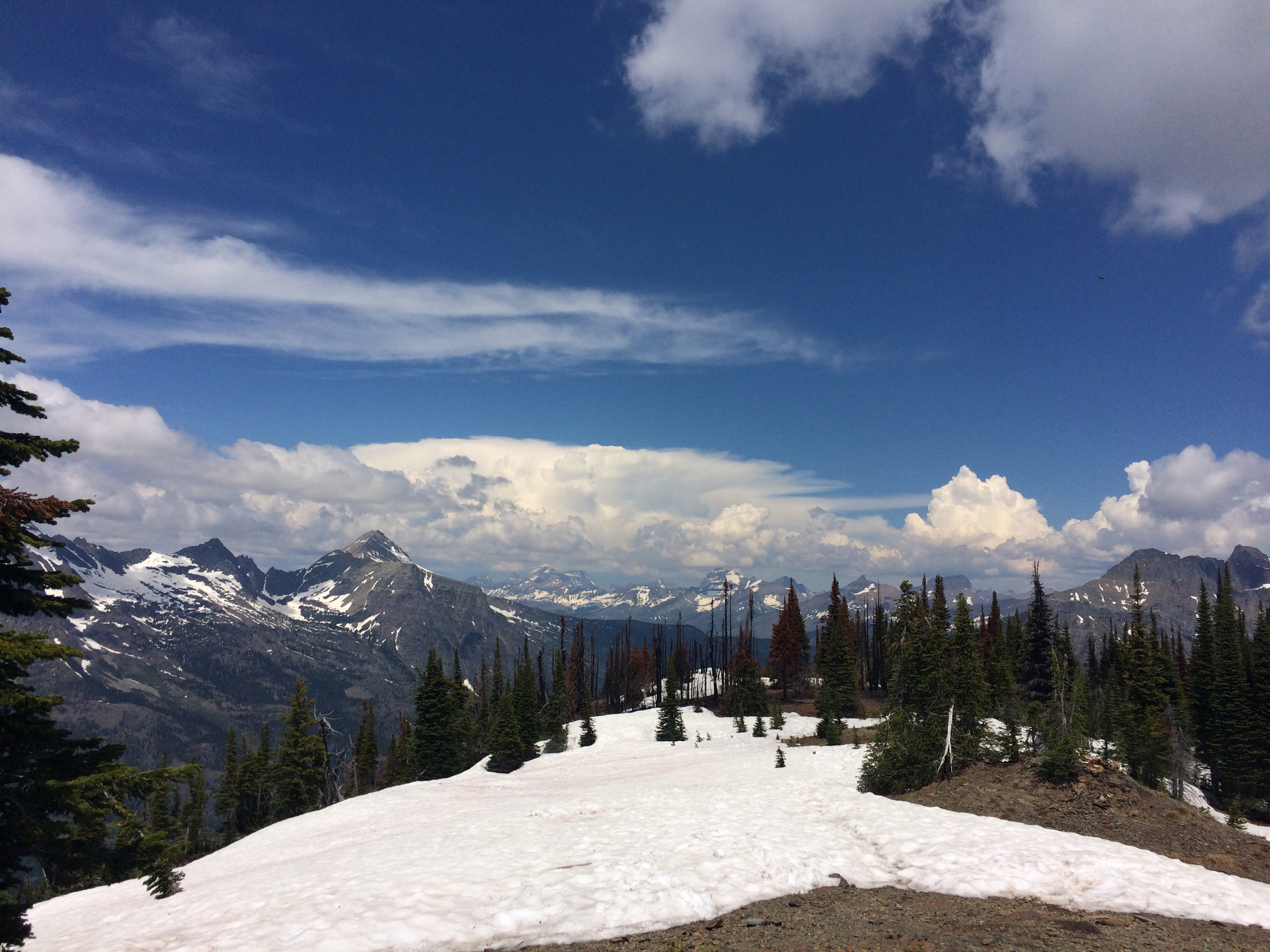 Hike to the Mt. Brown Lookout