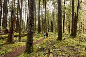 72 Hours Exploring the Olympic Peninsula