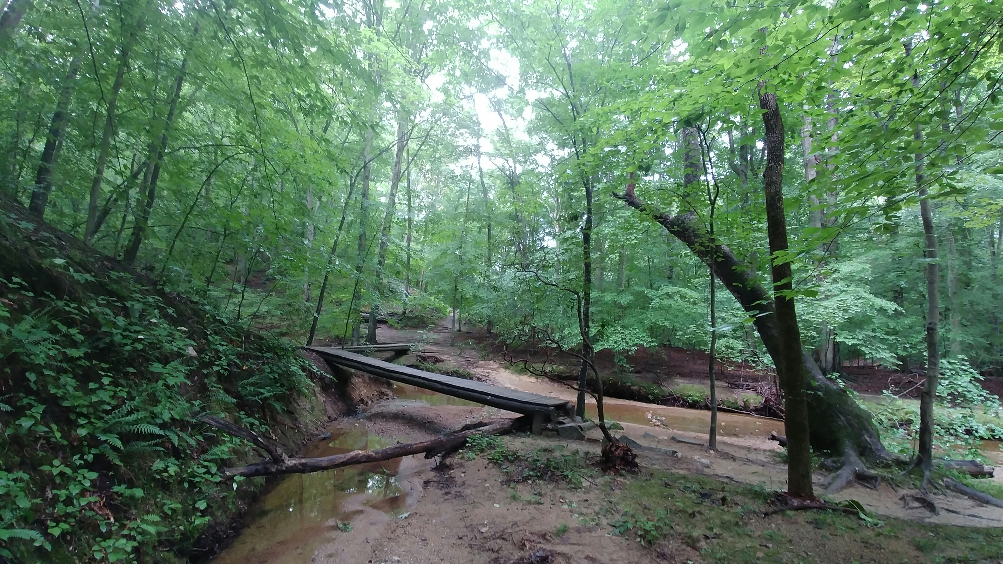 Hike the Bull Run Occoquan Trail, Clifton, Virginia