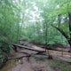 Hike the Bull Run Occoquan Trail