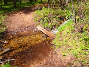 Hike Jones Creek