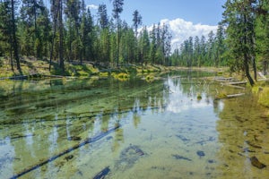 Hike the Fall River Trail