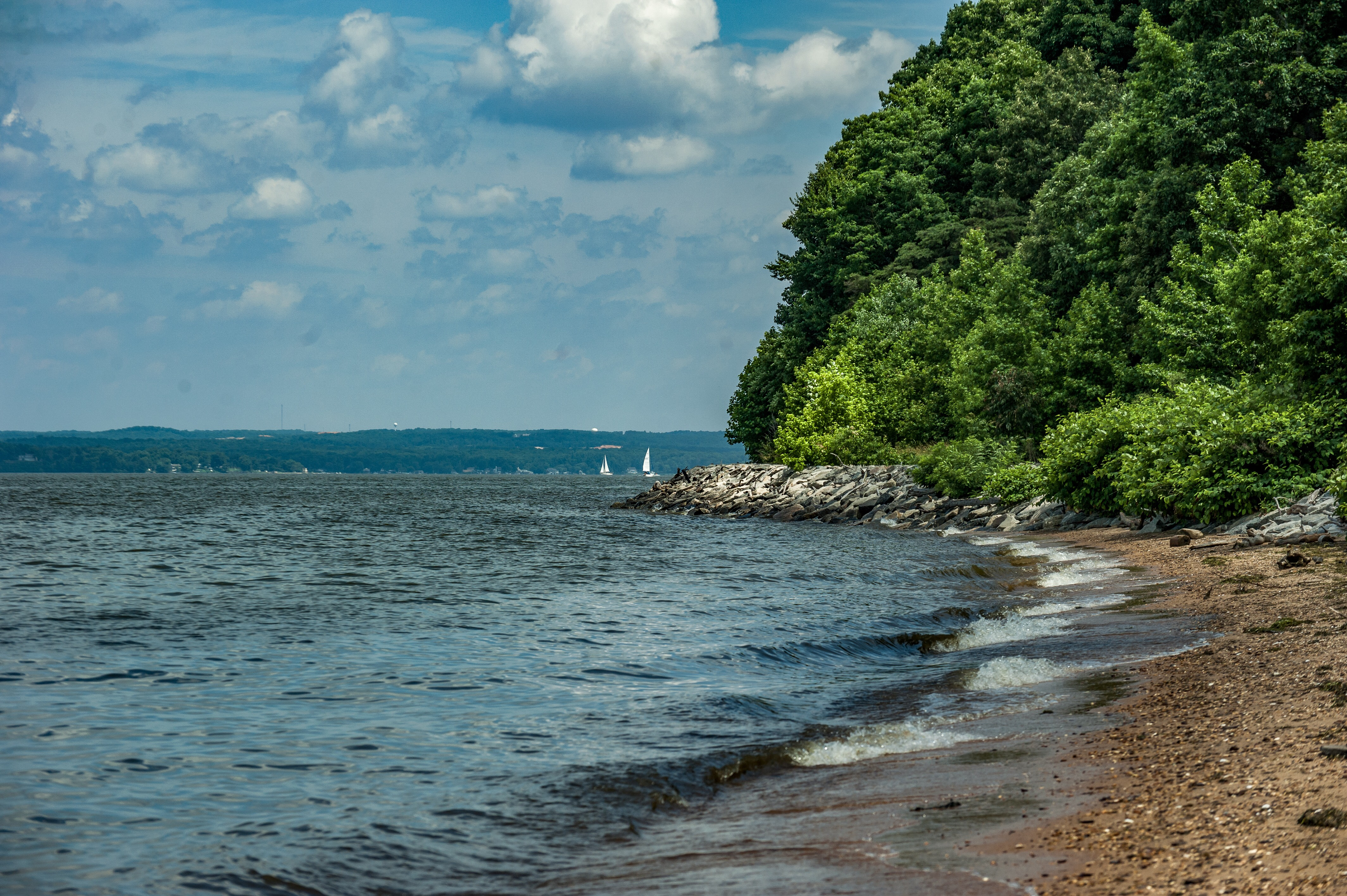 Hike the White Banks Trail at Elk Neck SP
