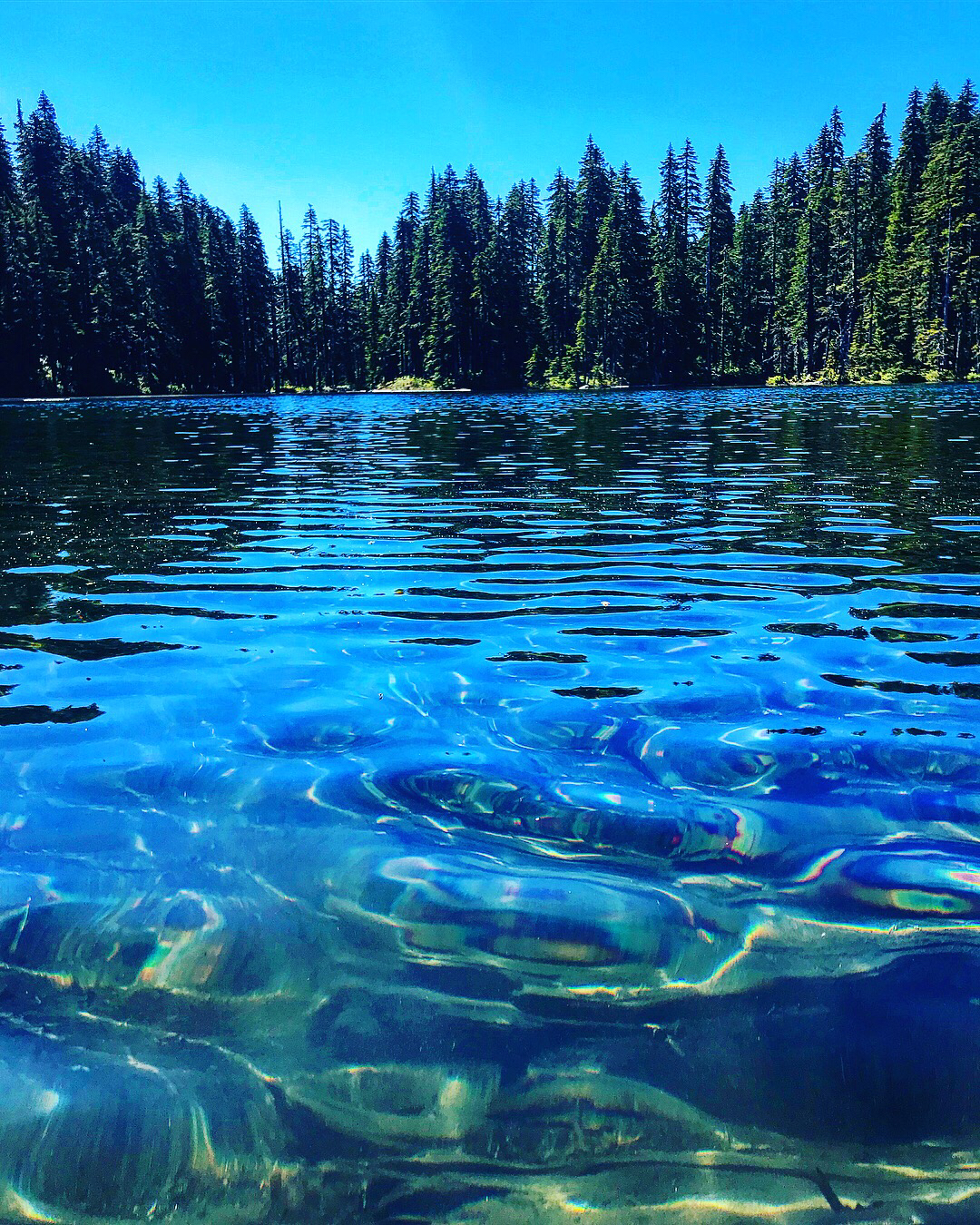 Indian Heaven to Blue Lake