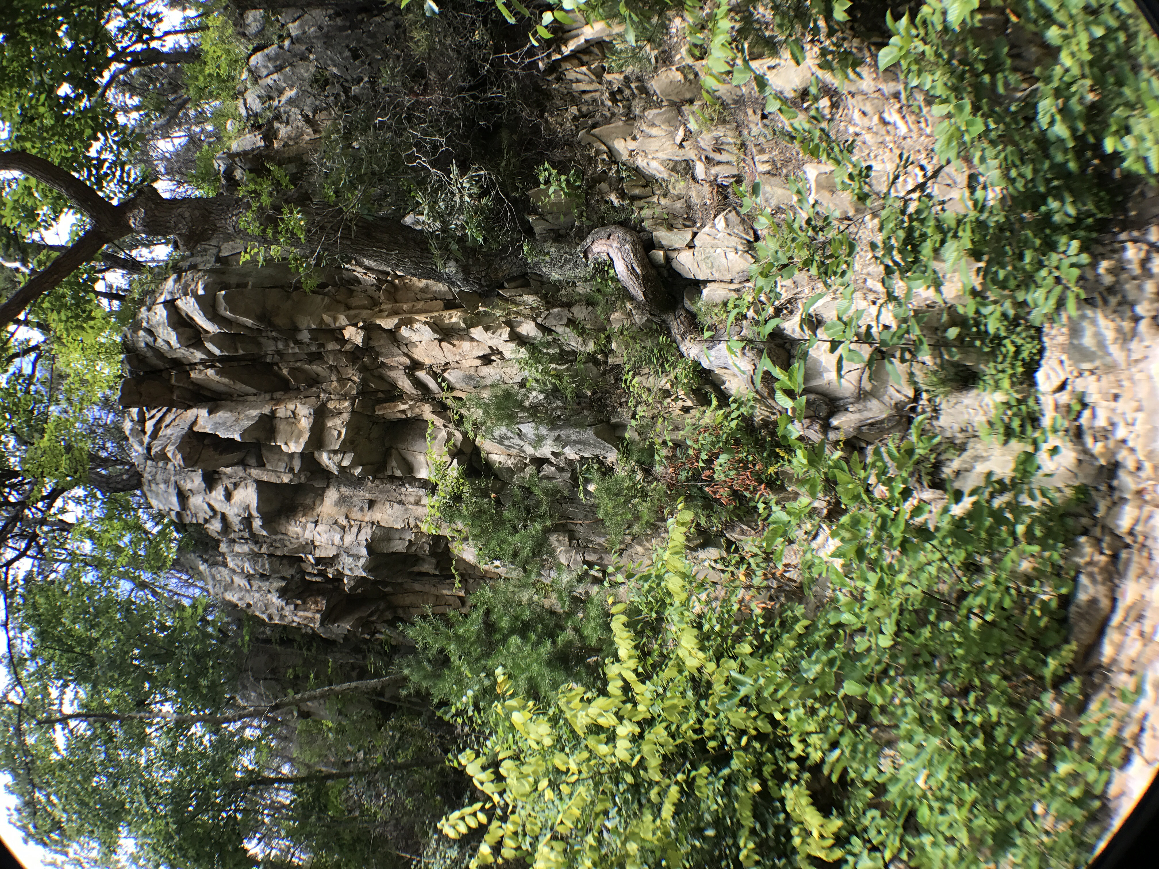 Hike to Saint Mary's Falls