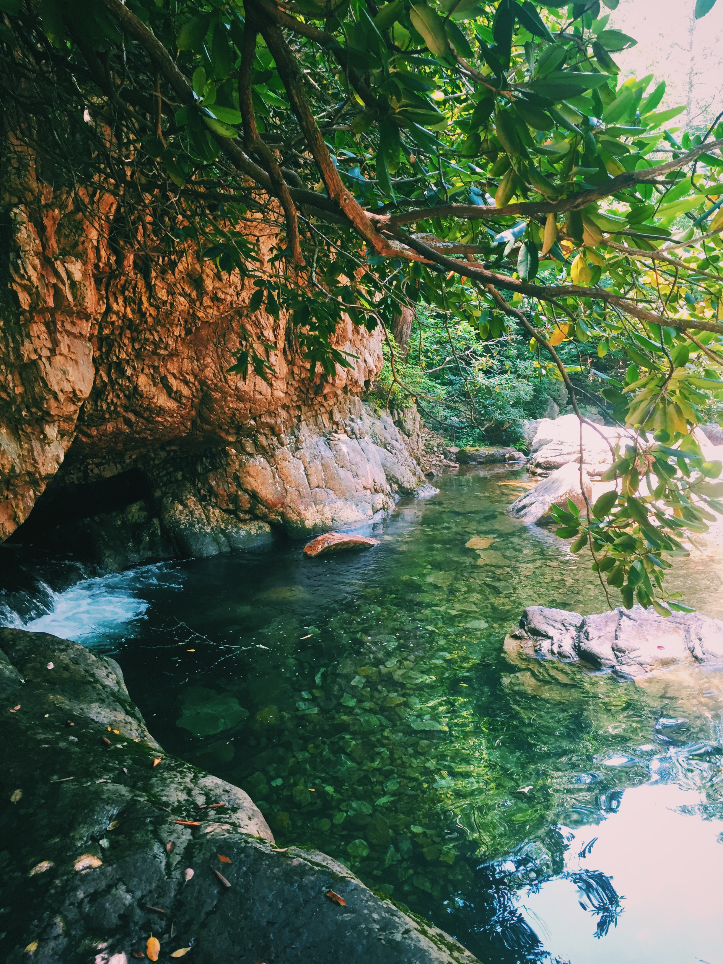Hike to Saint Mary's Falls