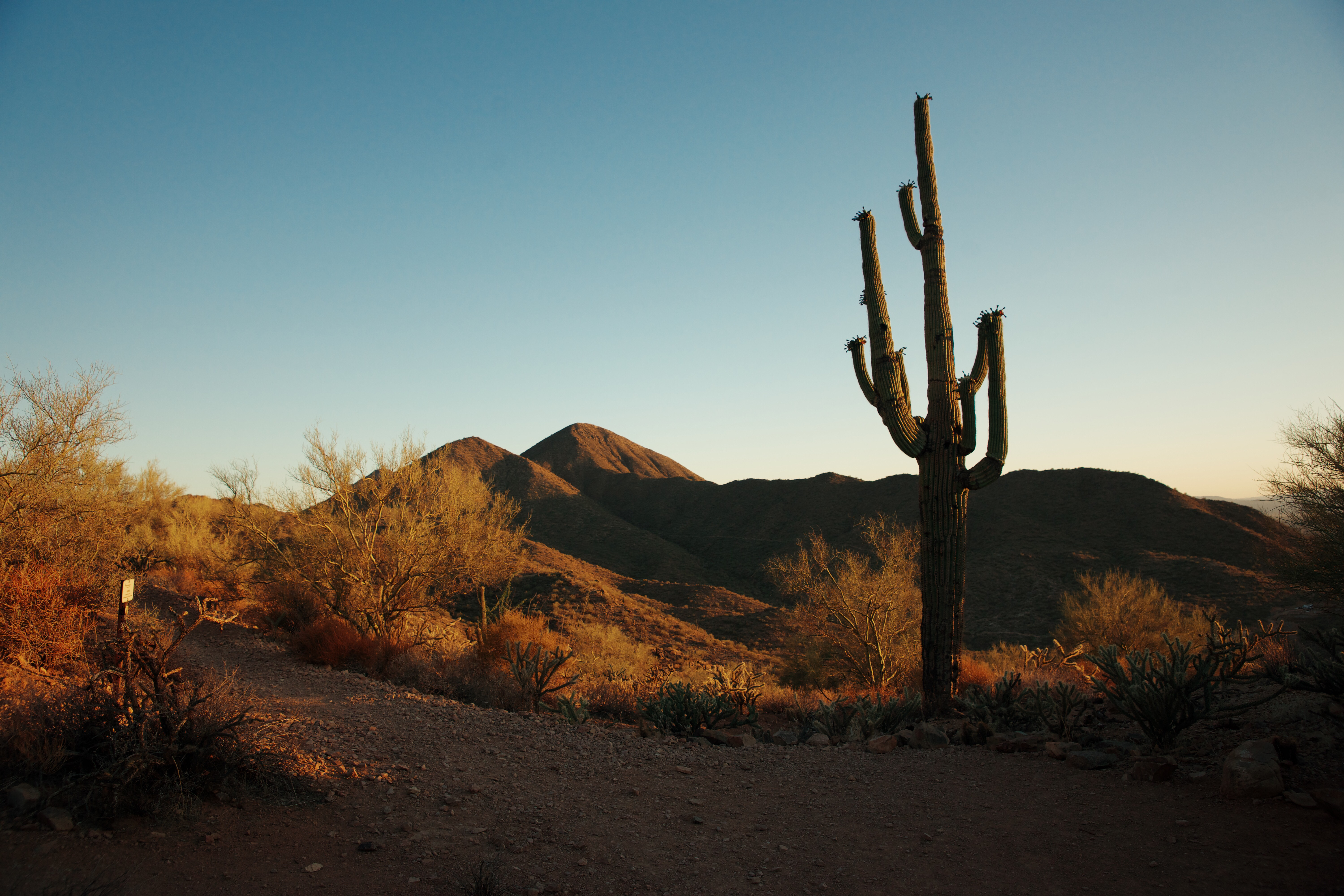 Sunrise Trail to Sunrise Peak 