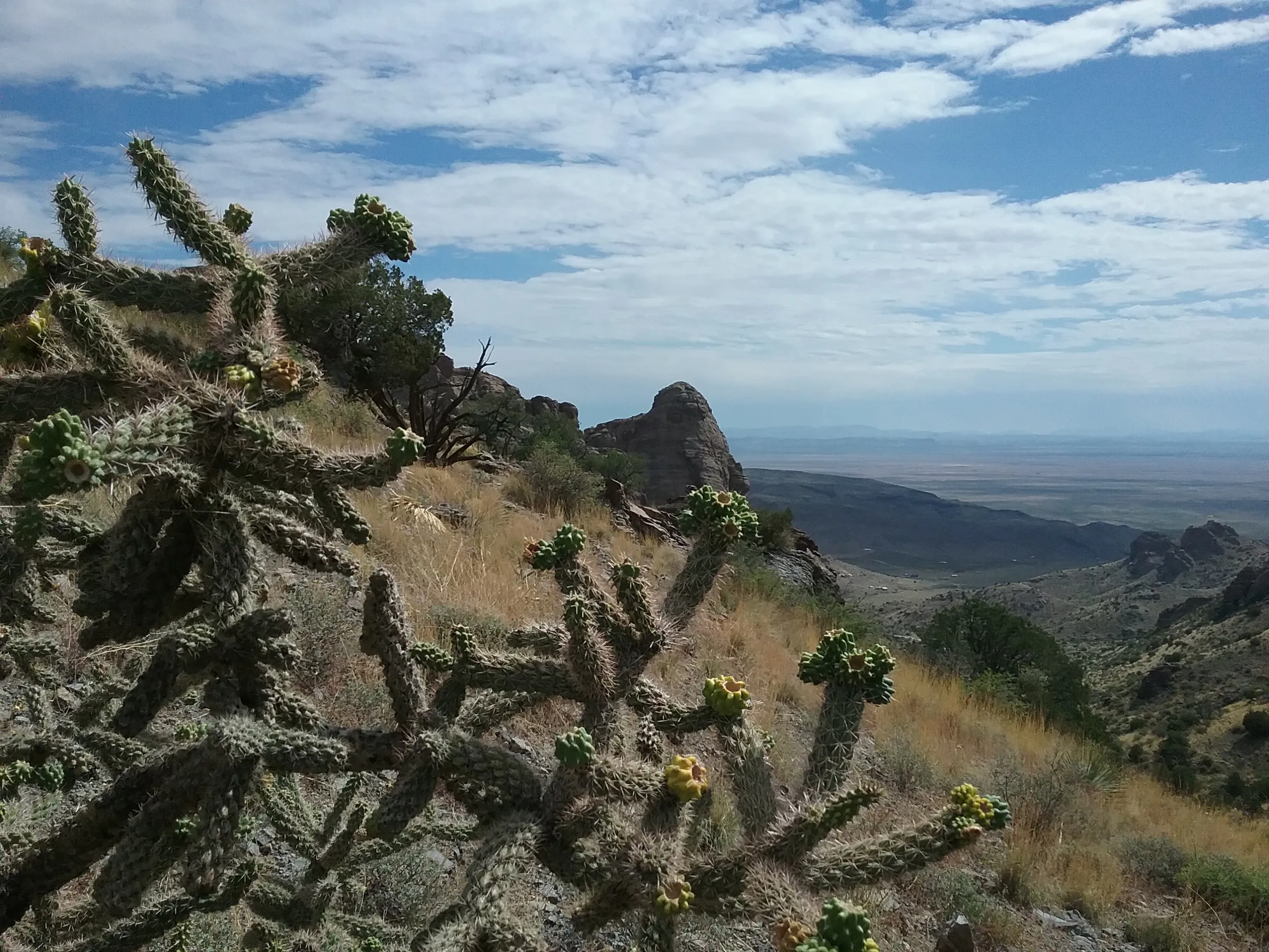 Hike the Lovers' Leap Trail