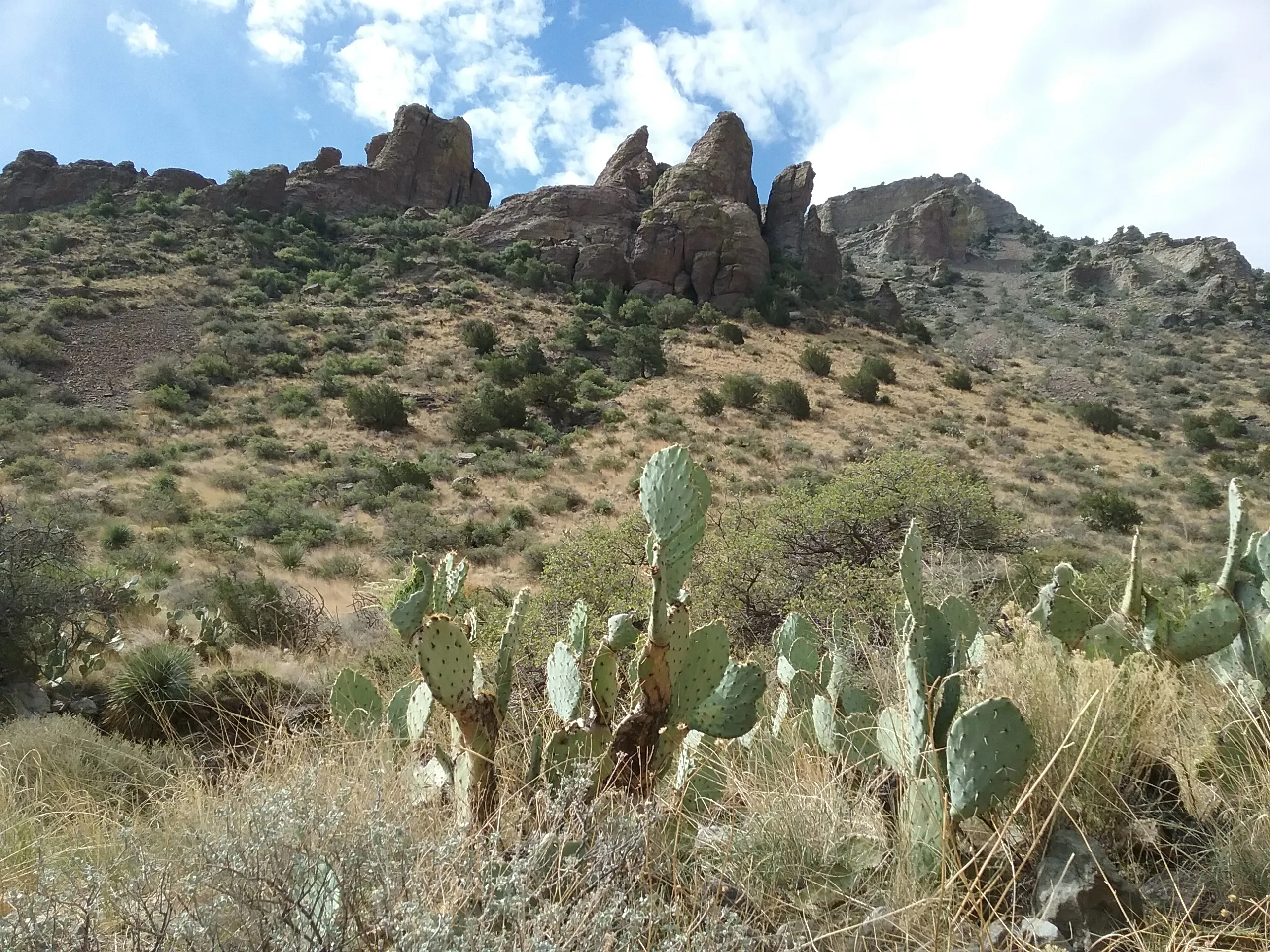Hike the Lovers' Leap Trail