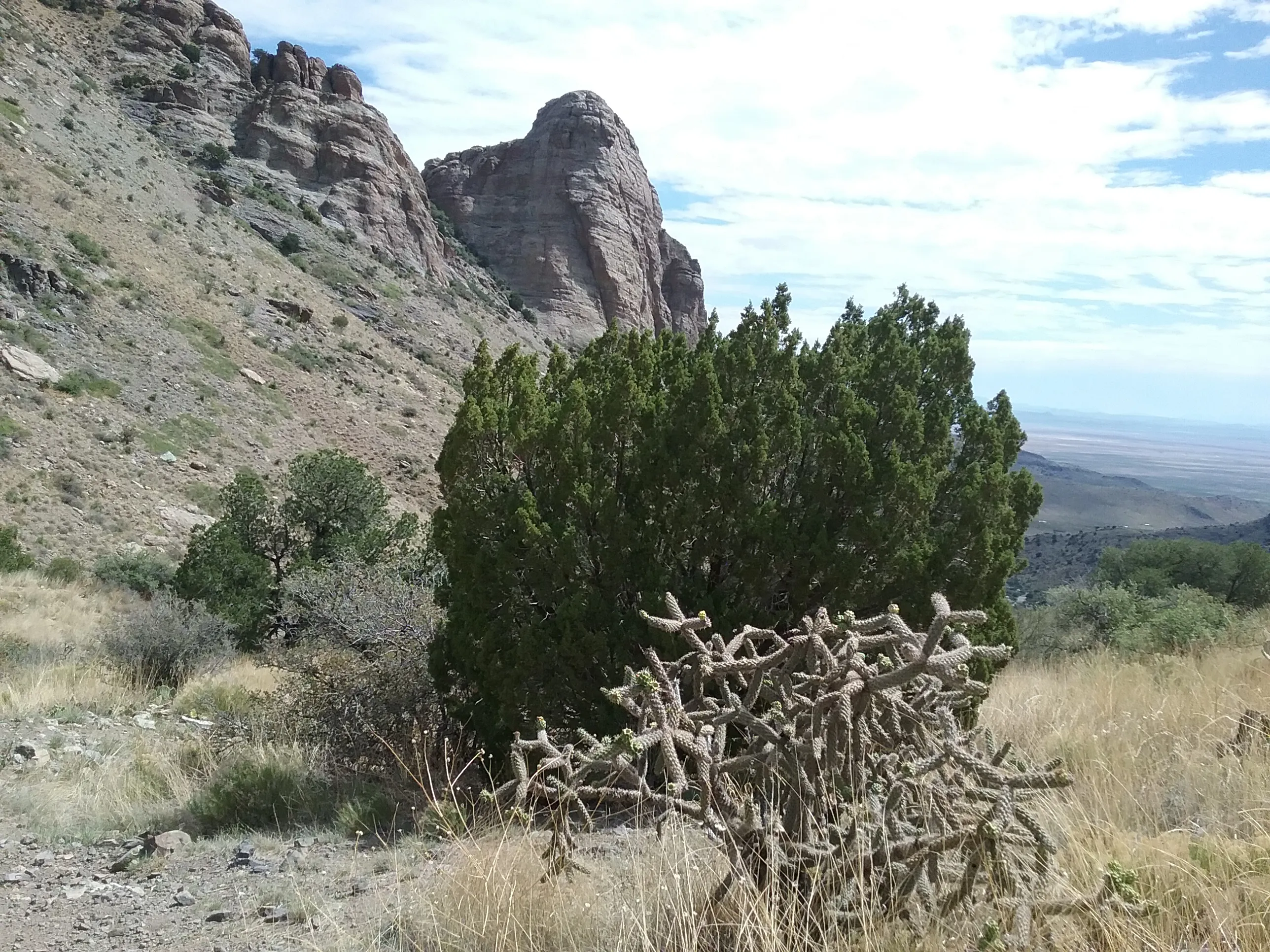 Hike the Lovers' Leap Trail
