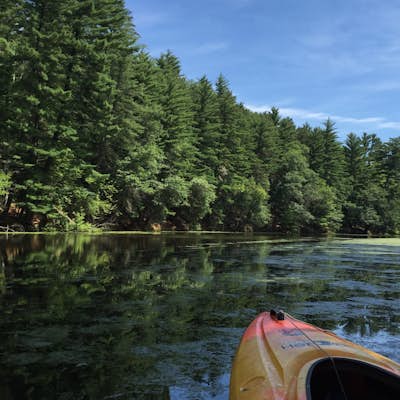 Kayak or Canoe through Mirror Lake