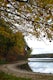Hike around Walden Pond