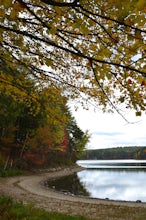 Hike around Walden Pond