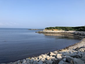 Take a Stroll on the Newport Cliff Walk