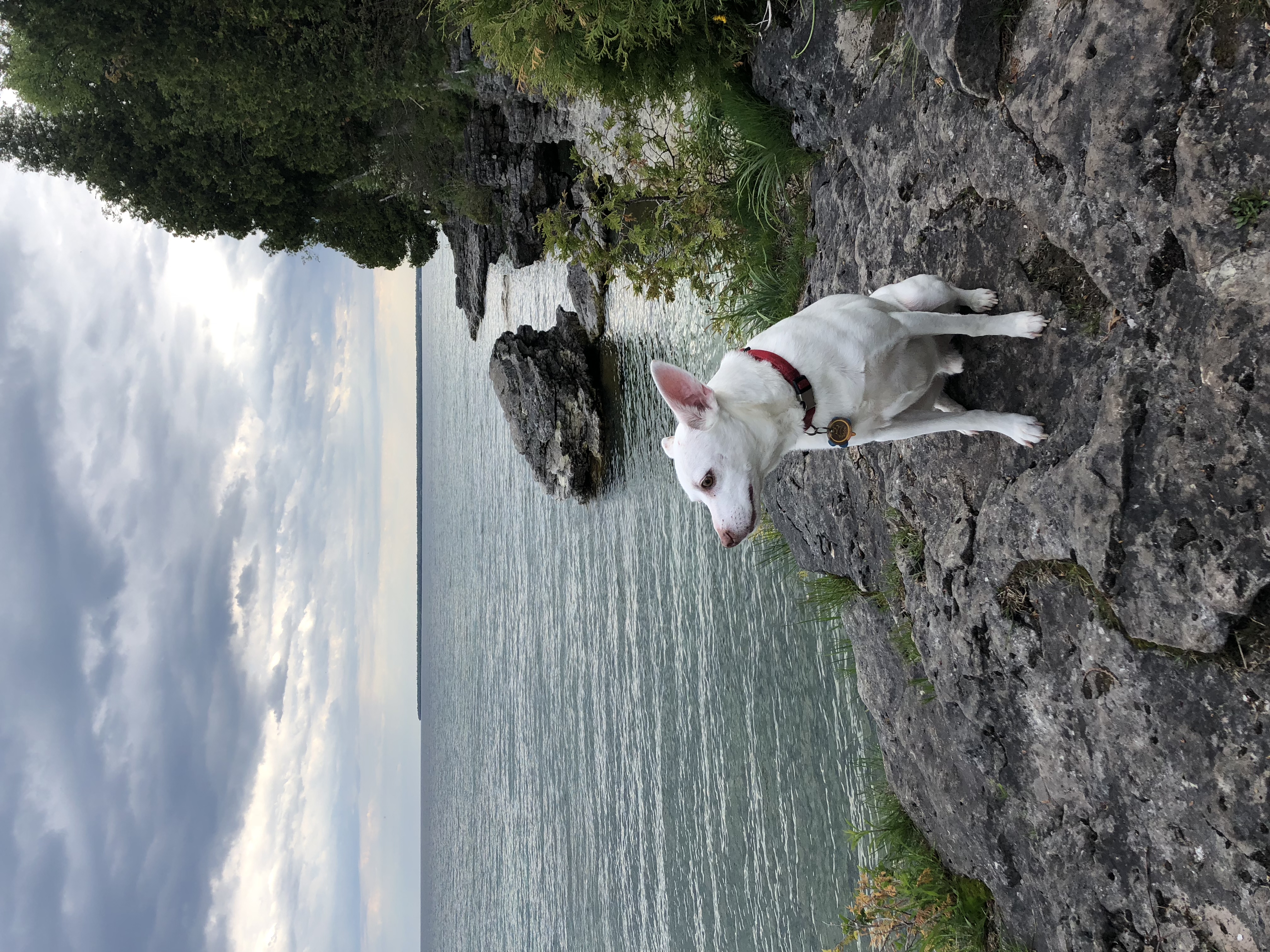 Cave Point County Park Lakeside Trail