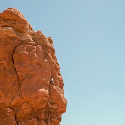 Climb Owl Rock in Arches National Park