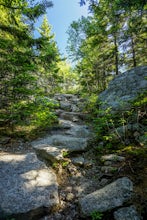 Cadillac North Ridge Trail