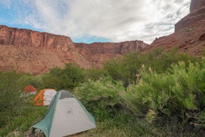 Camp at Oak Grove Campgrounds near Moab, UT